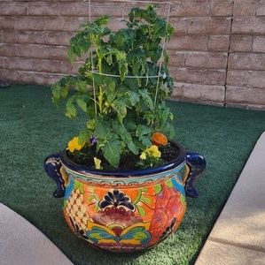 Meet your Posher, Marjorie